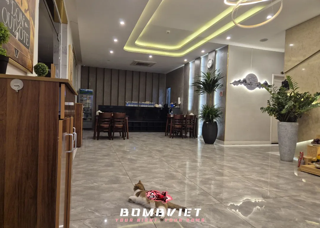 넓고 쾌적한 마사지샵 내부 홀과 평온한 고양이의 모습